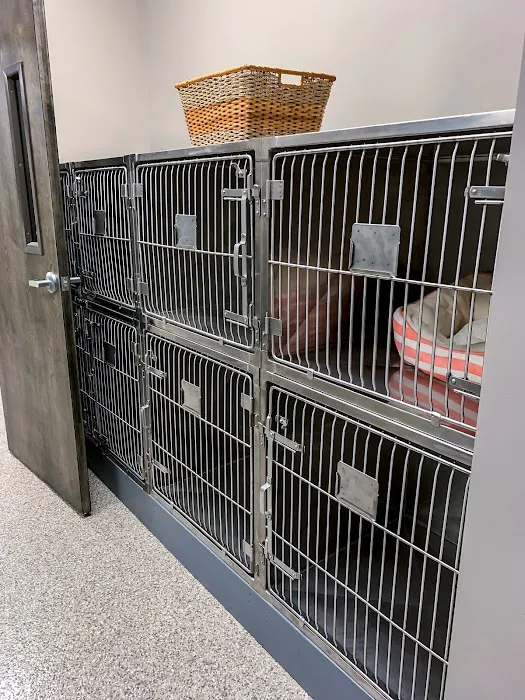 All Pets Veterinary Clinic Picture 5