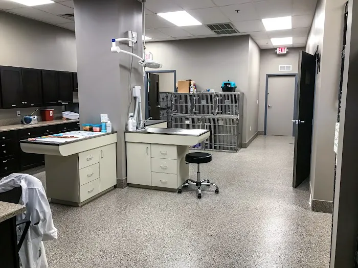 All Pets Veterinary Clinic Picture 6