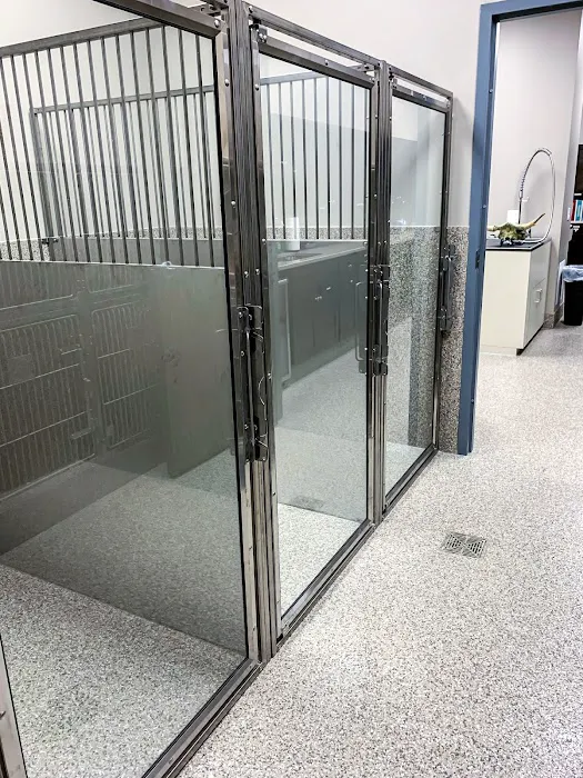 All Pets Veterinary Clinic Picture 9