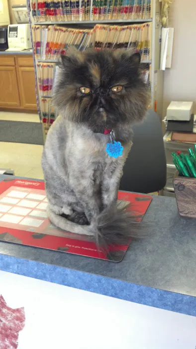 Town & Country Veterinary Center Picture 1