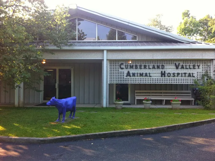 Cumberland Valley Veterinary Services Picture 1
