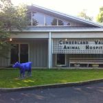 Cumberland Valley Veterinary Services