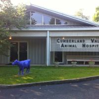 Cumberland Valley Veterinary Services ico