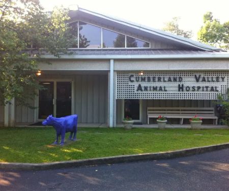 Cumberland Valley Veterinary Services