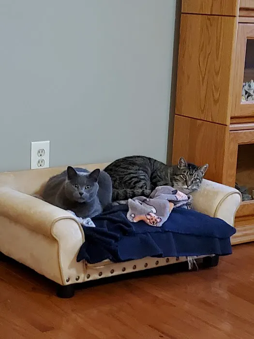 Cumberland Valley Veterinary Services Picture 6