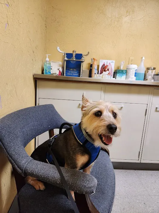 Cumberland Valley Veterinary Services Picture 5