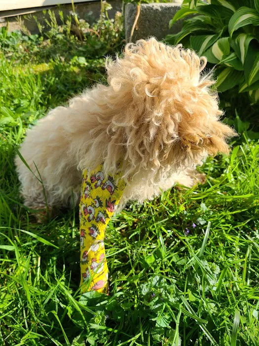 Noah's Ark Animal Hospital Picture 7