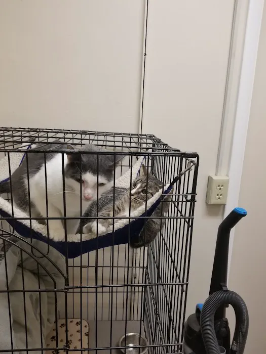 Noah's Ark Animal Hospital Picture 8