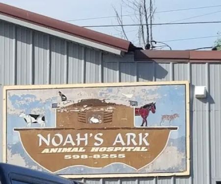 Noah's Ark Animal Hospital