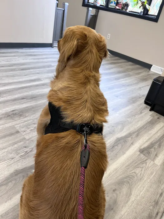 Corbin Animal Clinic Picture 1