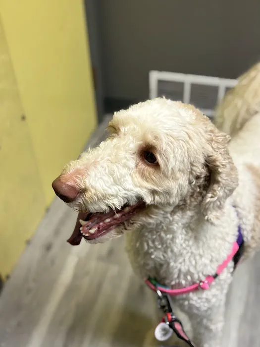 Corbin Animal Clinic Picture 3