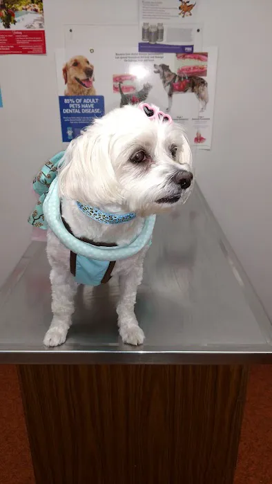 Corbin Animal Clinic Picture 9