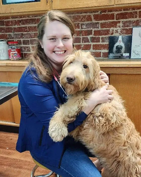 Mt. Vernon Animal Clinic Picture 6
