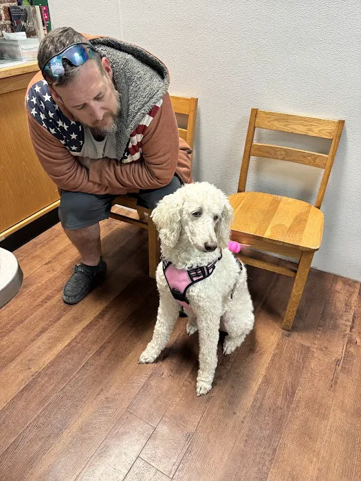 Mt. Vernon Animal Clinic Picture 4