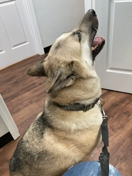 Mt. Vernon Animal Clinic Picture 2