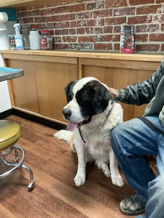 Mt. Vernon Animal Clinic Picture 1