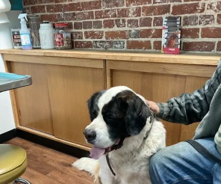 Mt. Vernon Animal Clinic