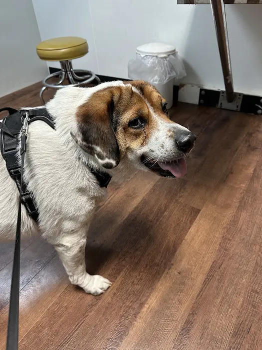 Mt. Vernon Animal Clinic Picture 7