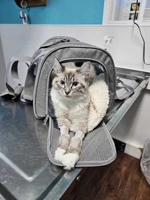 Mt. Vernon Animal Clinic Picture 8
