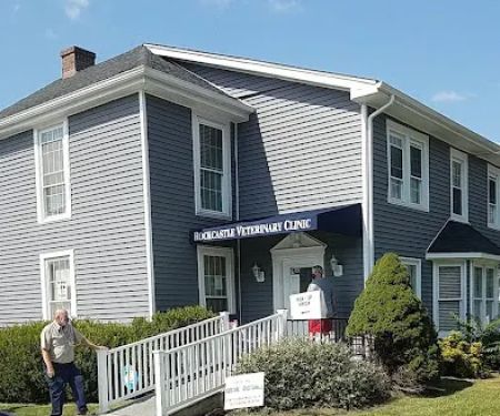 Rockcastle Veterinary Clinic