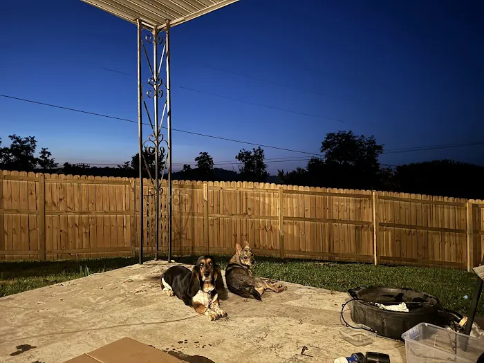 Rock Vet Animal Hospital Picture 5
