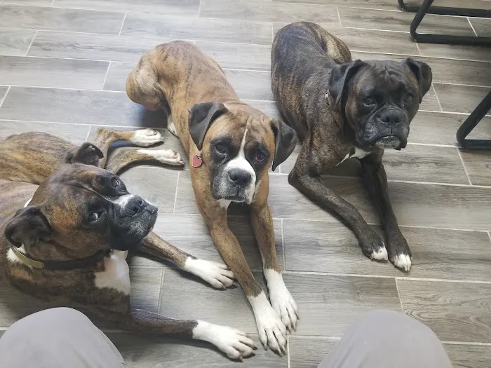 Animal Care Center Picture 7