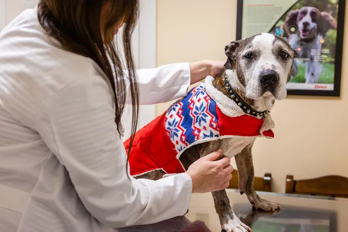 Animal Care Center Picture 4