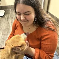 Stanford Veterinary Hospital ico