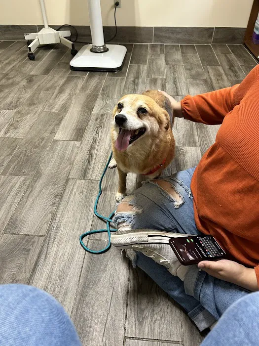 Stanford Veterinary Hospital Picture 4