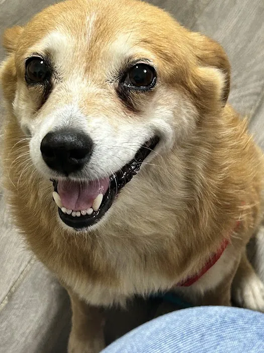 Stanford Veterinary Hospital Picture 3