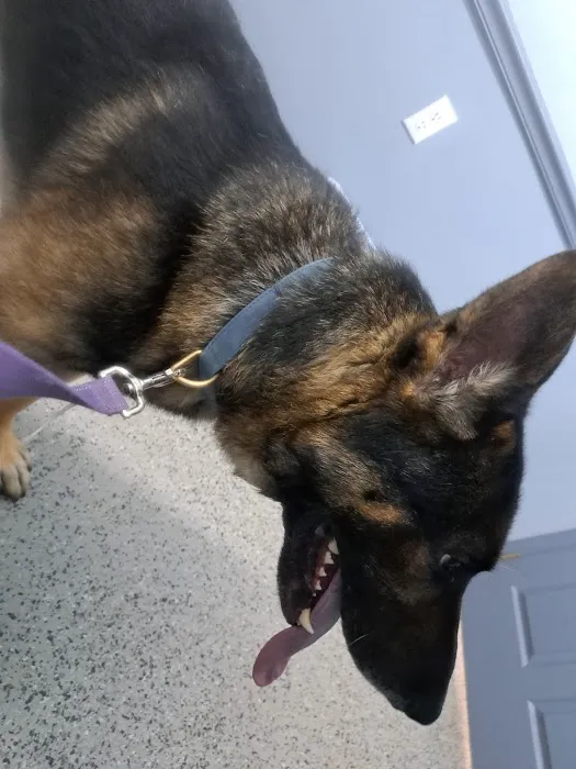 Stanford Veterinary Hospital Picture 7
