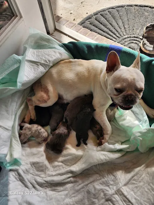 Stanford Veterinary Hospital Picture 8