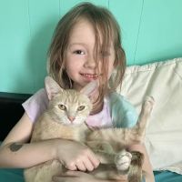 Lancaster Veterinary Hospital ico