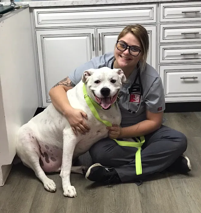Animal Hospital of Danville Picture 4