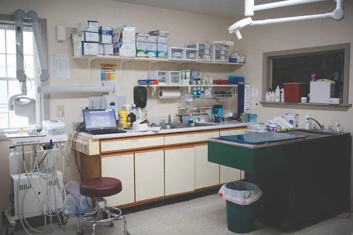Animal Hospital of Danville Picture 1