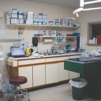Animal Hospital of Danville ico