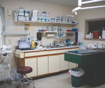 Animal Hospital of Danville