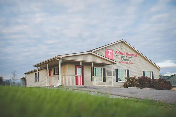 Animal Hospital of Danville Picture 9