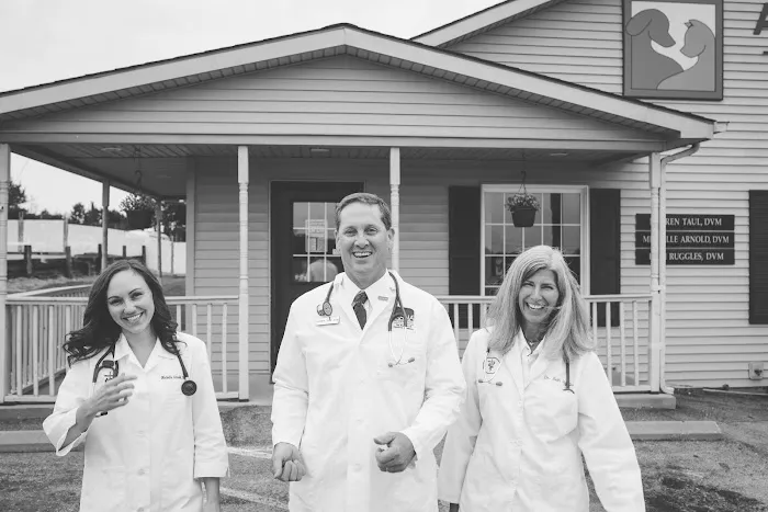 Animal Hospital of Danville Picture 3