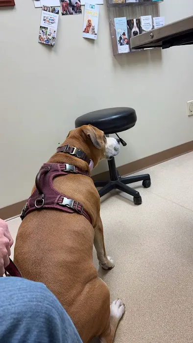 Laughery Valley Veterinary Hospital Picture 9
