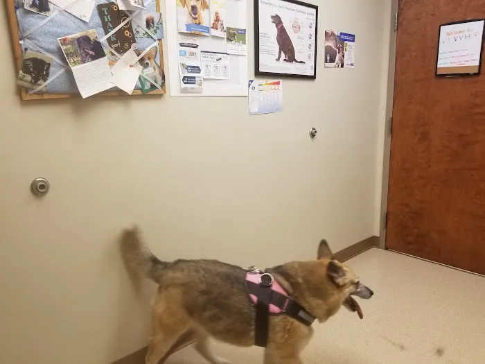Laughery Valley Veterinary Hospital Picture 4