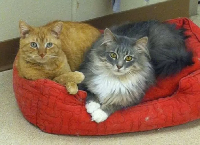 Laughery Valley Veterinary Hospital Picture 1