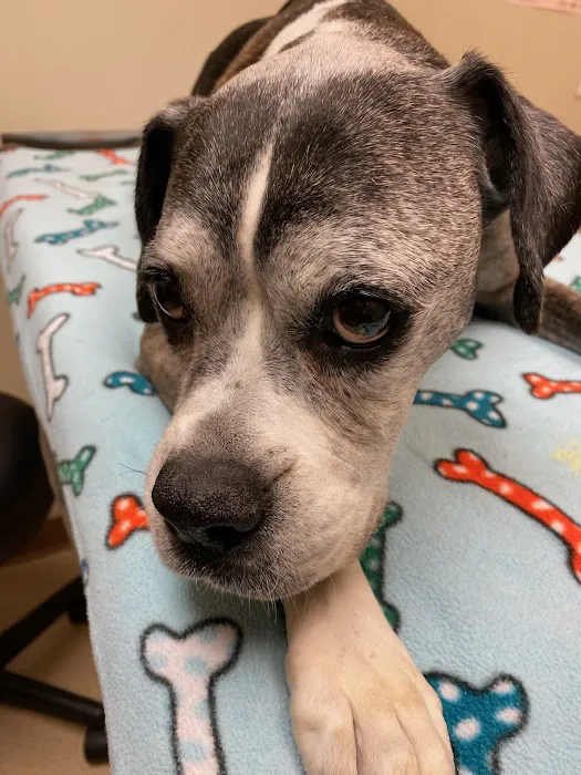 Laughery Valley Veterinary Hospital Picture 7