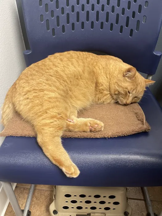 NB Animal Urgent Care Picture 9