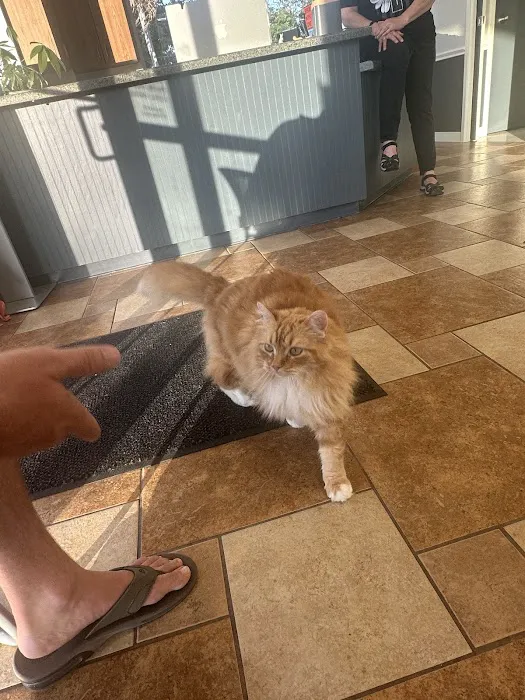 NB Animal Urgent Care Picture 3