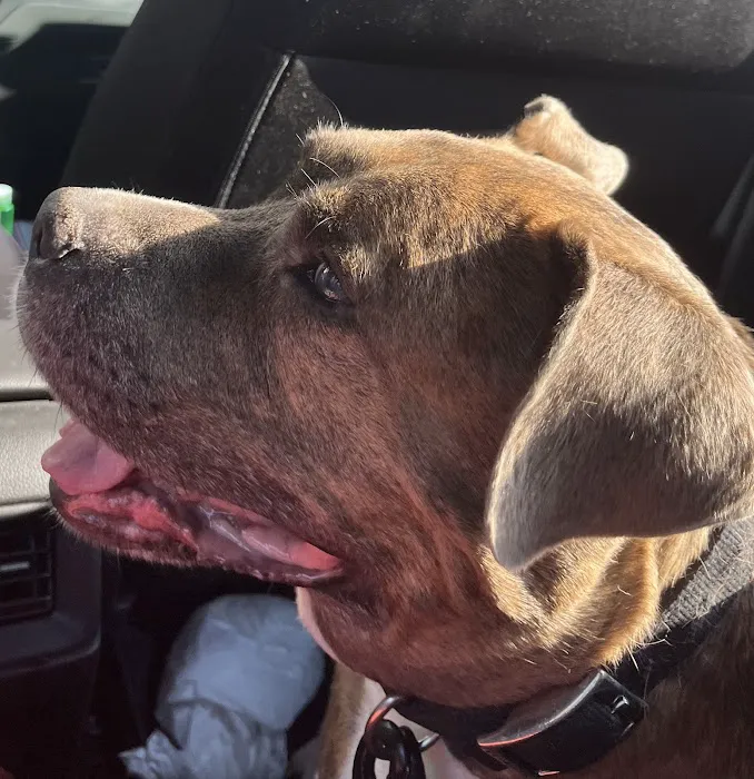 NB Animal Urgent Care Picture 10