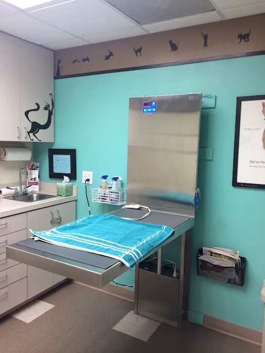 Creek View Veterinary Clinic, PLLC Picture 9