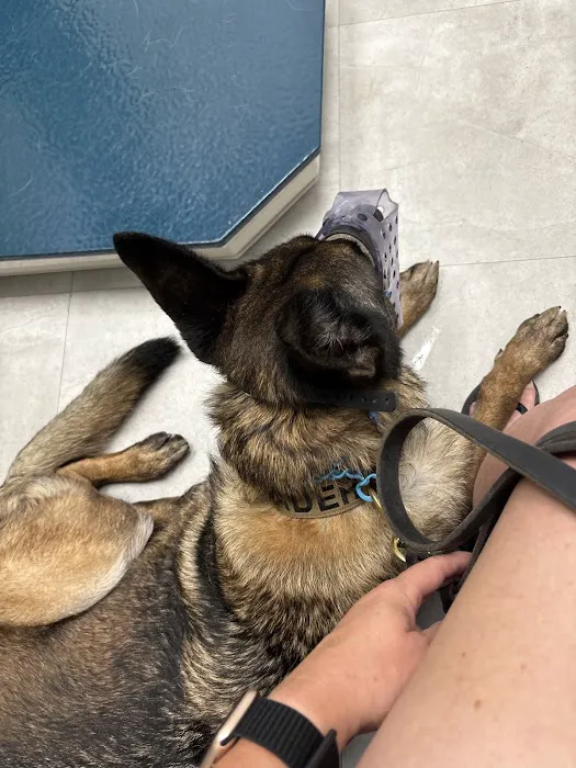 i35 MarketPlace Animal Hospital Picture 3