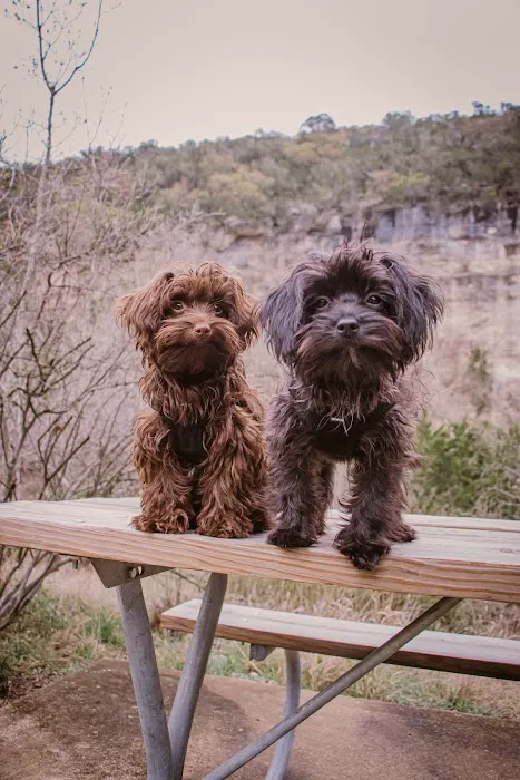 i35 MarketPlace Animal Hospital Picture 2