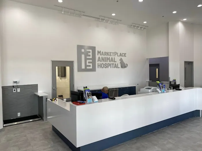 i35 MarketPlace Animal Hospital Picture 6